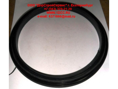 Сальник 165х195х16 балансира DF DONG FENG (ДОНГ ФЕНГ) 29ZB3-04084  для самосвала фото 1 Новокузнецк