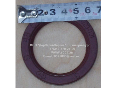 Сальник 48х65х6,2 H HOWO (ХОВО)  фото 1 Новокузнецк