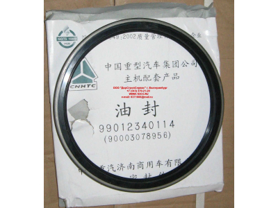 Сальник 190х220х15 задней ступицы наружный H/SH HOWO (ХОВО) WG9112340114 фото 1 Новокузнецк