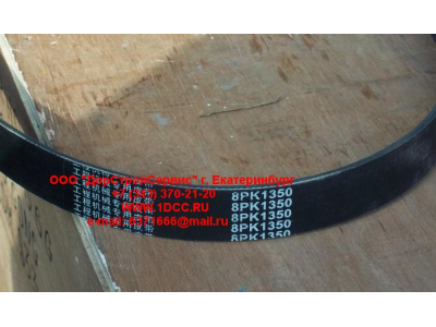 Ремень 8PK1350 помпы CDM 855 Lonking CDM (СДМ) 612600100069 фото 1 Новокузнецк