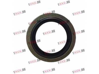 Шайба уплотнительная резинометаллическая D-24 H2 HOWO (ХОВО)  фото 1 Новокузнецк