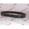 Ремень 8PK790 генератора CDM 855 Lonking CDM (СДМ) 612600090201 фото 2 Новокузнецк