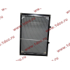Радиатор WP12 SH SHAANXI / Shacman (ШАНКСИ / Шакман) DZ95259532201 фото 2 Новокузнецк