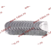 Вкладыши коренные стандарт +0.00 (14шт) LONGGONG CDM833 Lonking CDM (СДМ) 13034908/13034916 фото 2 Новокузнецк