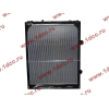 Радиатор WP12 SH SHAANXI / Shacman (ШАНКСИ / Шакман) DZ95259532203 фото 2 Новокузнецк